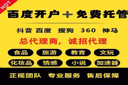 SEM托管服务，成功案例见证转化奇迹